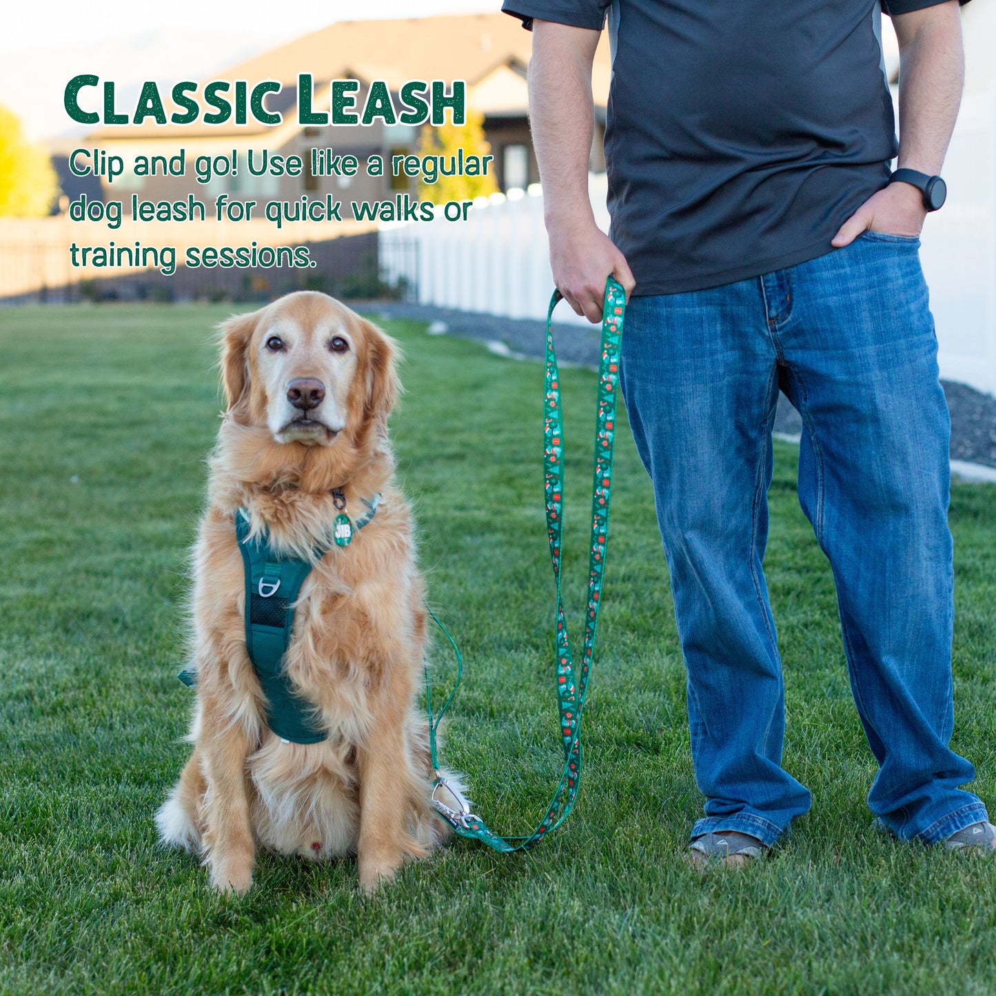 Dino Christmas Hands-Free Body Leash for Dogs — Lightweight, Adventure-Proof & Adjustable Holiday Dog Leash