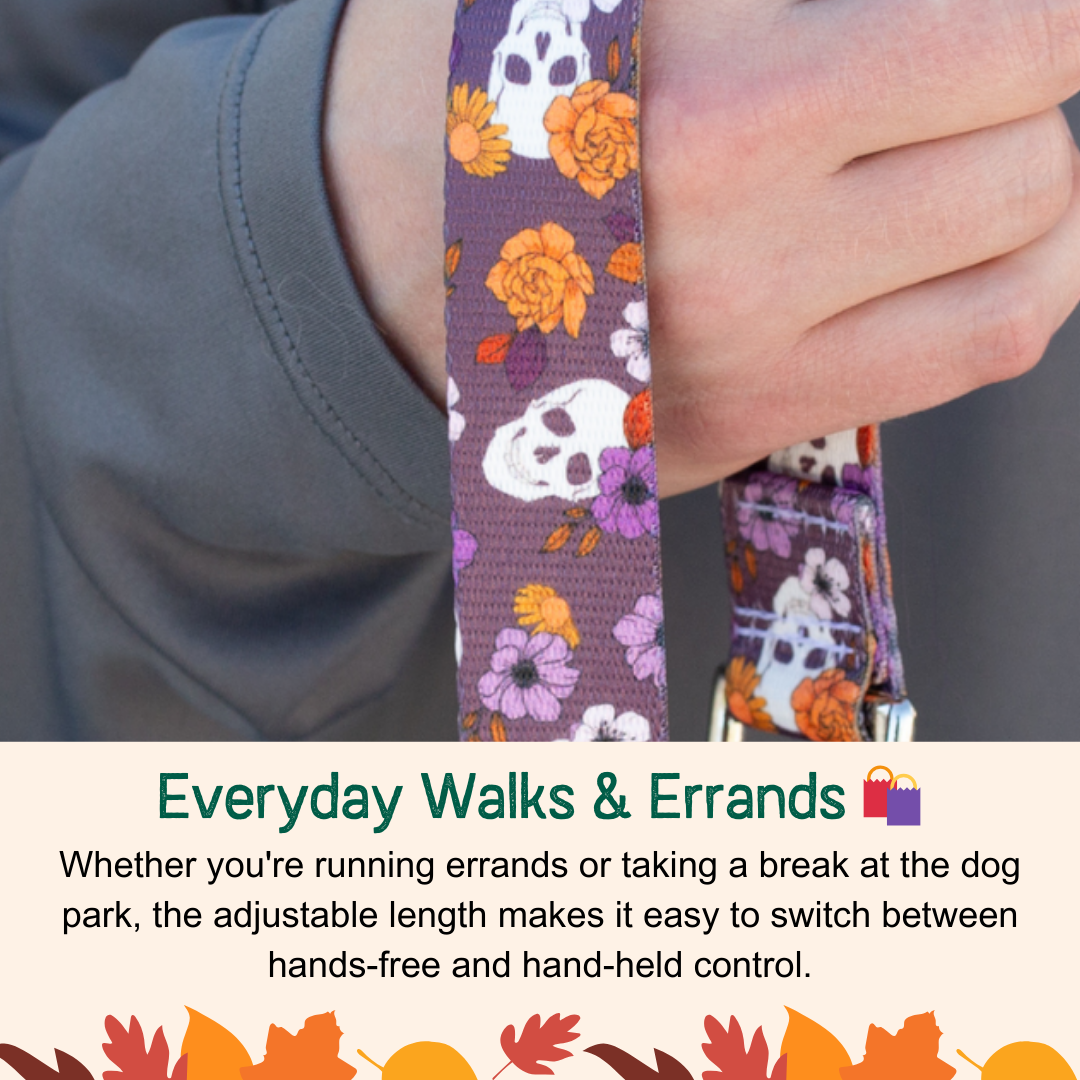 Best Hands Free Leash with Traffic Handle