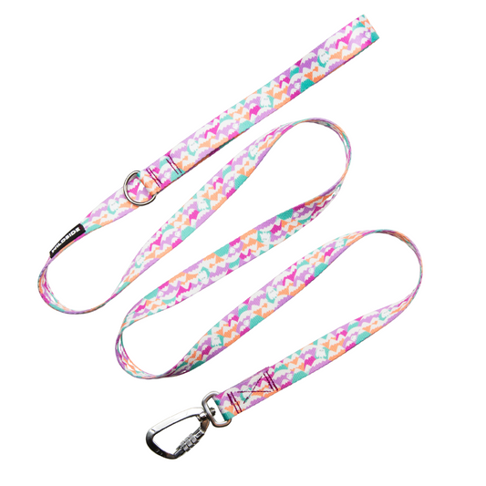 A multicolored floral-patterned dog leash with a metal D-ring and carabiner.