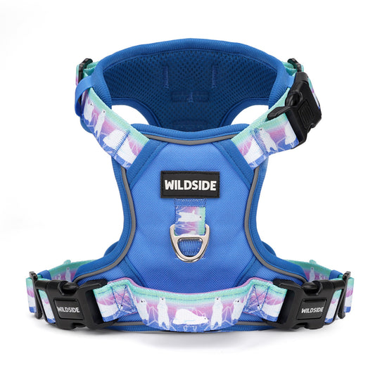 Best rated dog harness in periwinkle blue, puppy dog harness, custom fit dog harness, dog harness for odd size dog, dog harness for rescue dog, adjustable dog harness, front clip dog harness, no slip over the head dog harness, neck buckle dog harness, comfortable dog harness, lightweight dog harness, padded dog harness