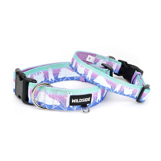 Aurora Polar Bear Comfort Dog Collar