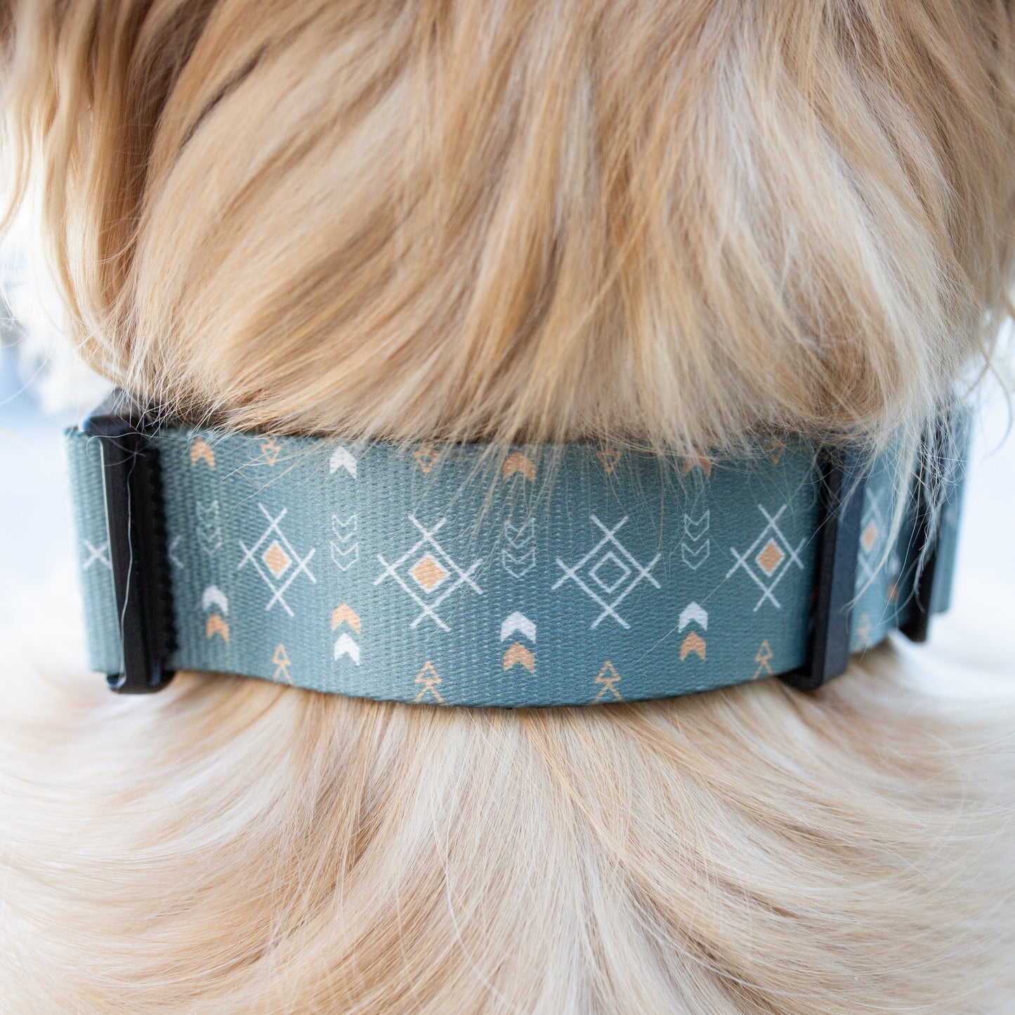 Sage Sunset Rust Proof Dog Collar Dog Collar