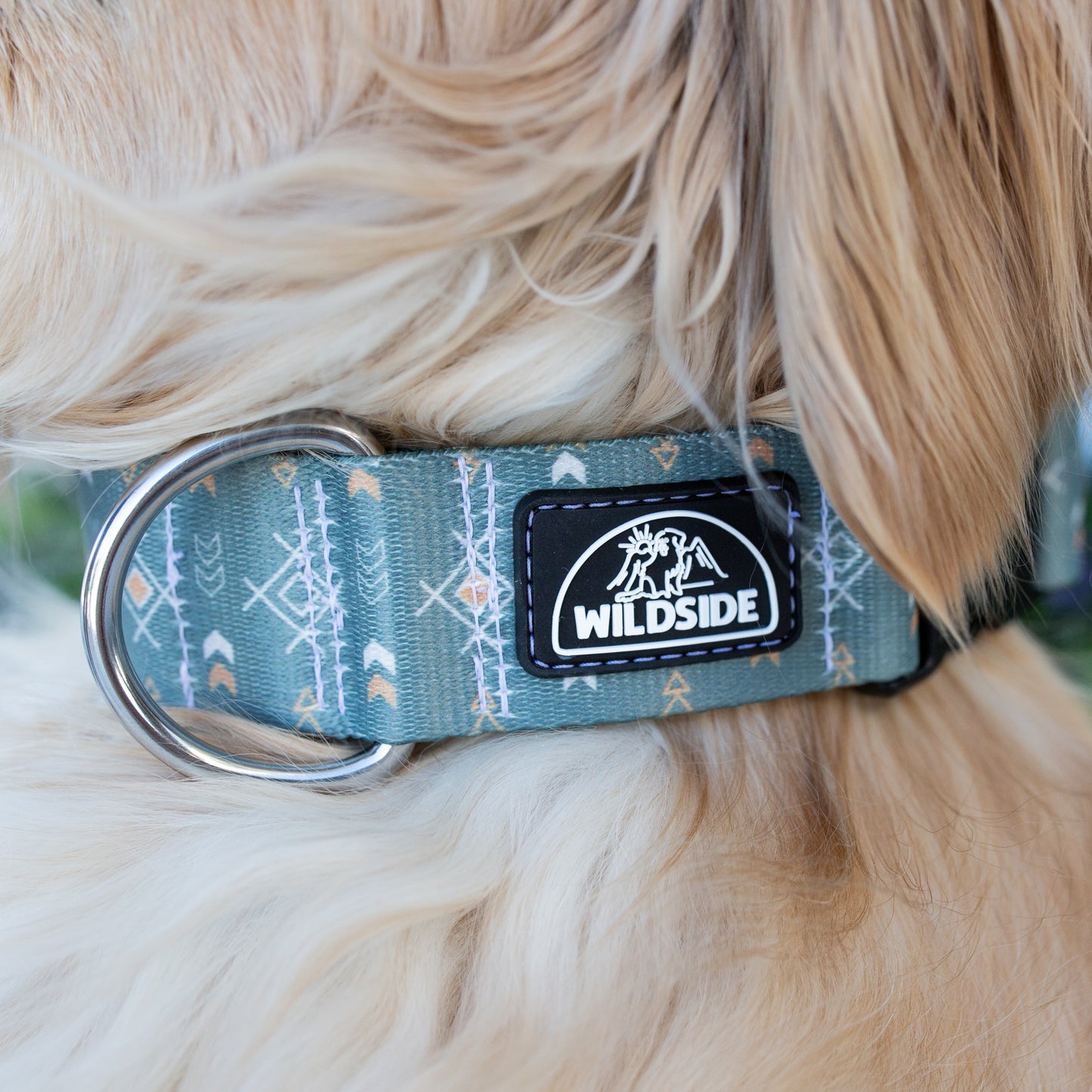 Sage Sunset Rust Proof Dog Collar Dog Collar