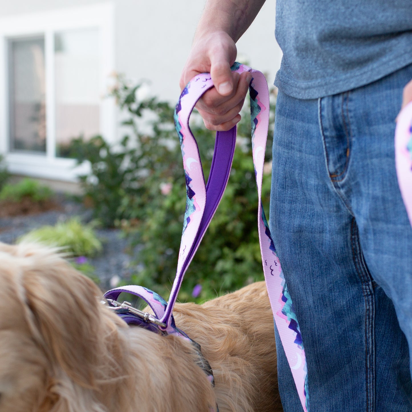 Mt. Milly 6ft Padded Double Handle Dog Leash