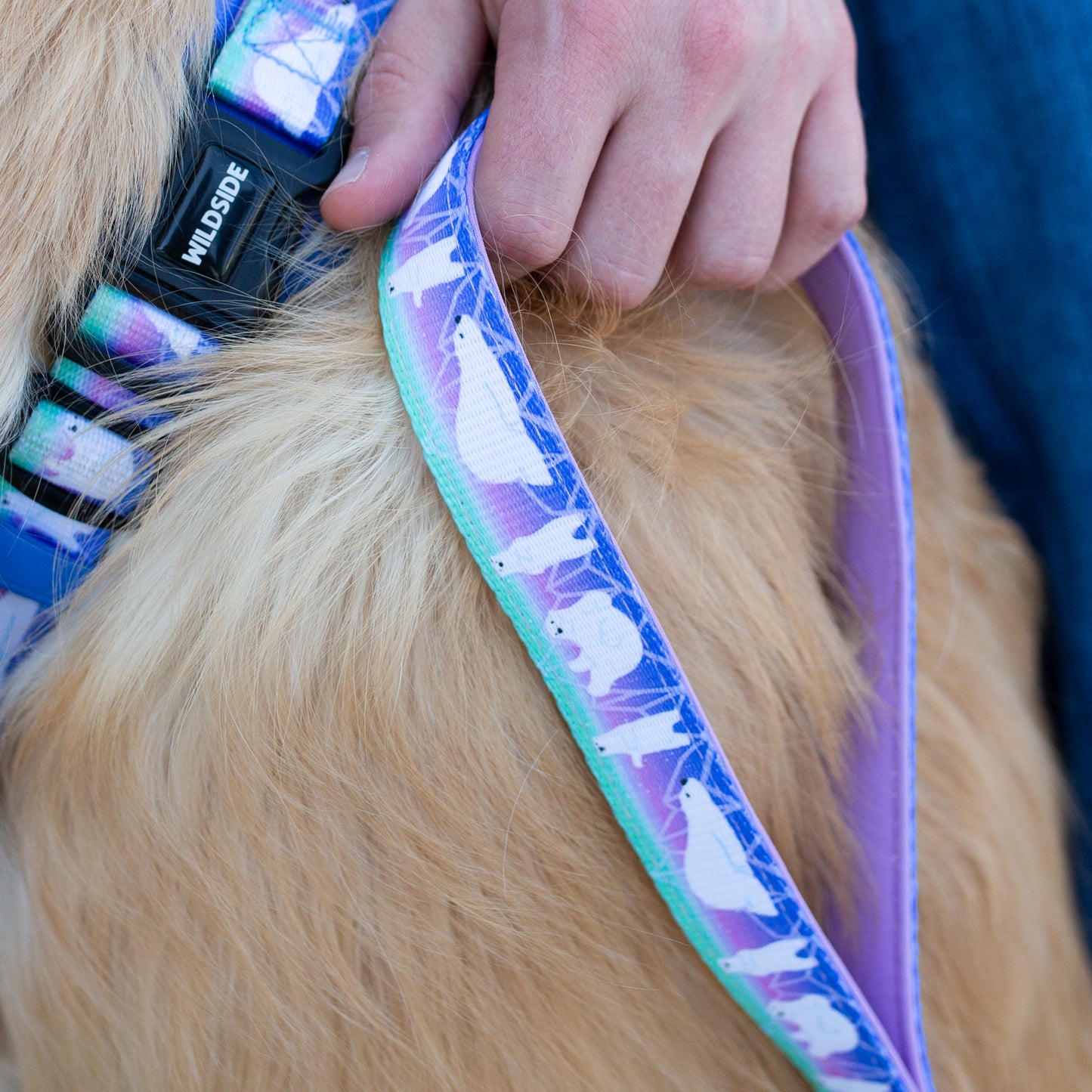dog leash swivel dog leash to stop pulling  dual handle dog leash dog leashes and collars wholesale