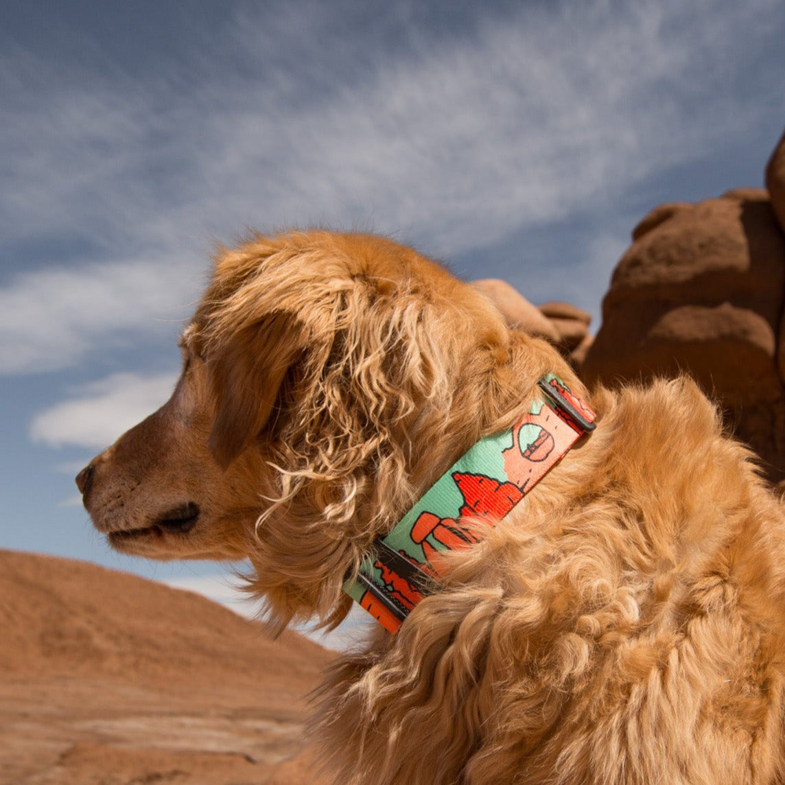 Day trip to Goblin Valley with our dogs, golden retriever dog collars, Utah dog collar, dogs hiking in Utah, dog friendly hikes in utah, dog friendly national parks
