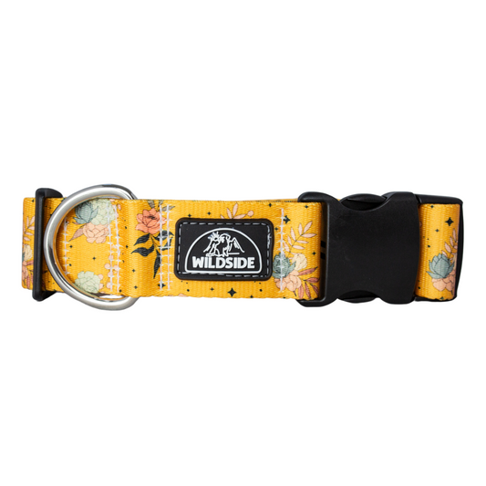Golden Hour Dog Collar with yellow floral pattern and rust-proof buckle