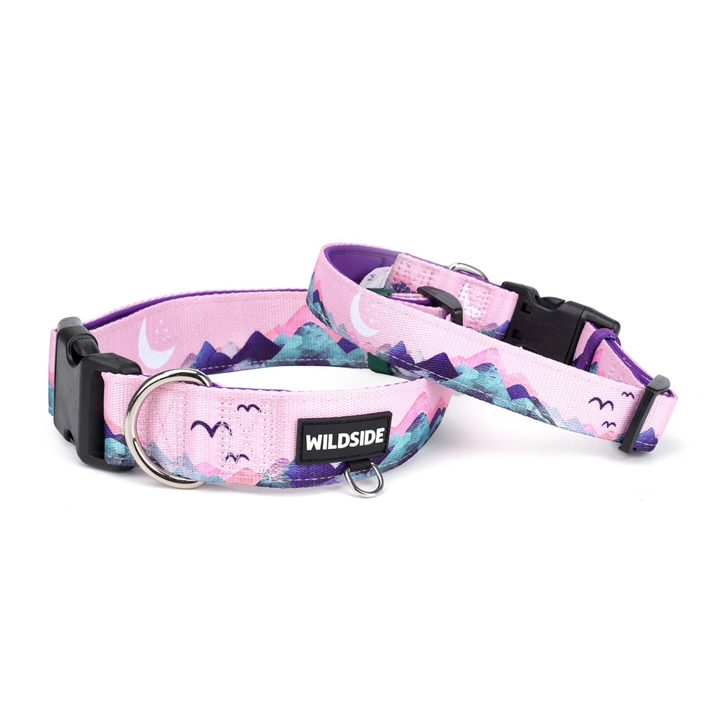 NEW! Mt. Milly Padded Comfort Dog Collar
