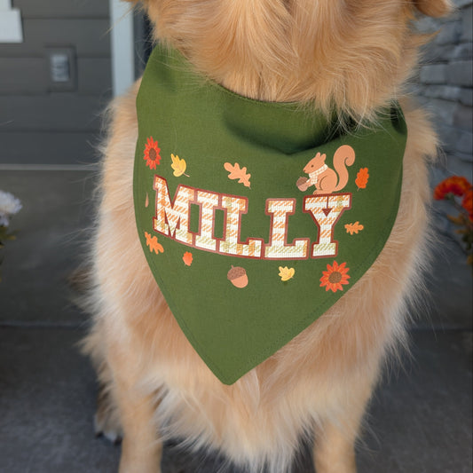 Dog wearing a green bandana with 'MILLY' and autumn-themed designs, standing on a concrete surface.