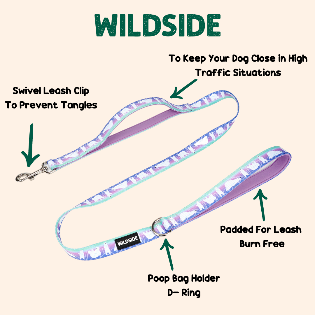 dog leash double handle dog leash 2 handles dog leash 6 feet dog leash traffic handle