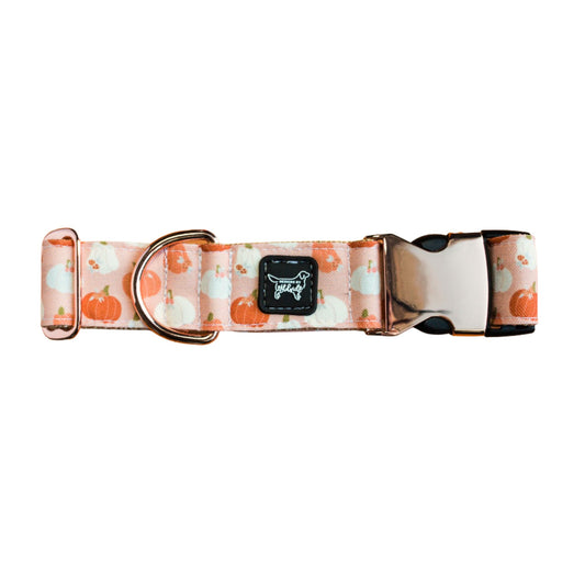 Dog collar with pumpkin and ghost pattern on a white background