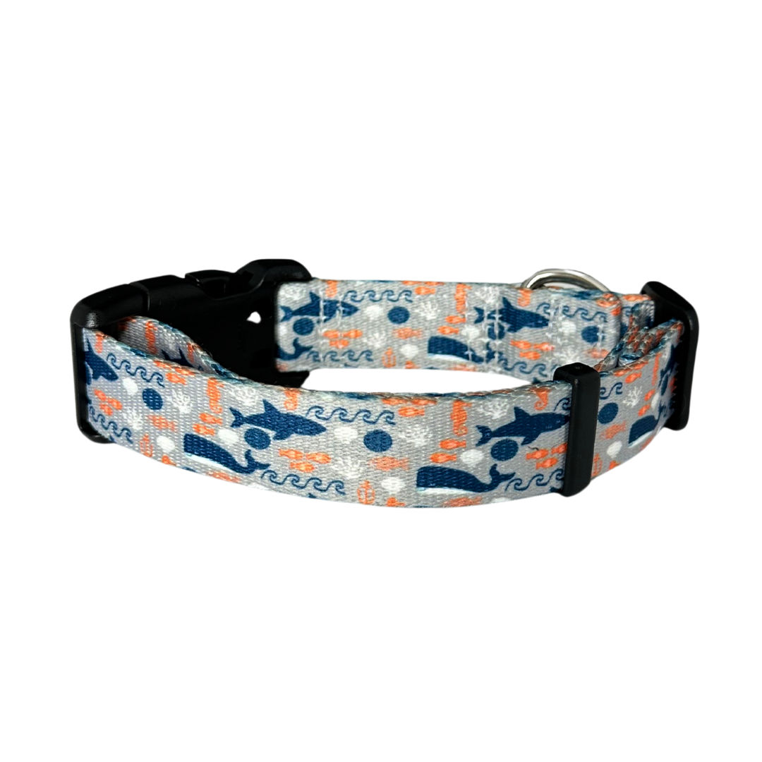 Ocean Sharks Rust Proof Dog Collar