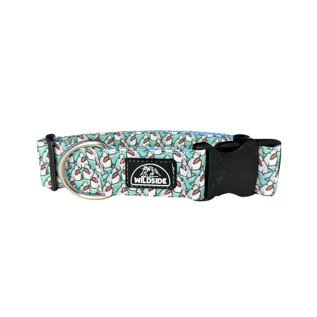 Shark Attack Lightweight Rust Proof Dog Collar