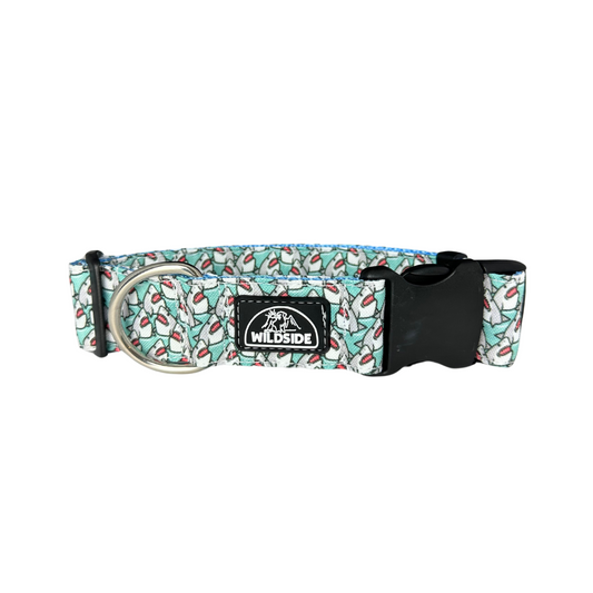 Shark Attack Lightweight Rust Proof Dog Collar
