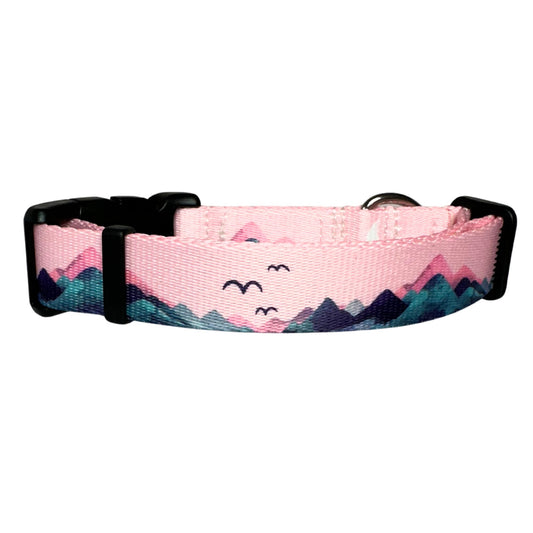 Milly Express Lift, Brighton Ski Resort, Pink Dog Collar, Pink Mountain Dog Collar, Wildside Dog Gear