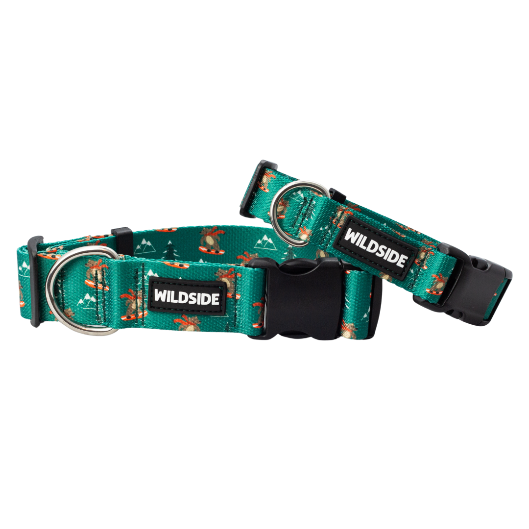 Jibby Bear Rust Proof Dog Collar