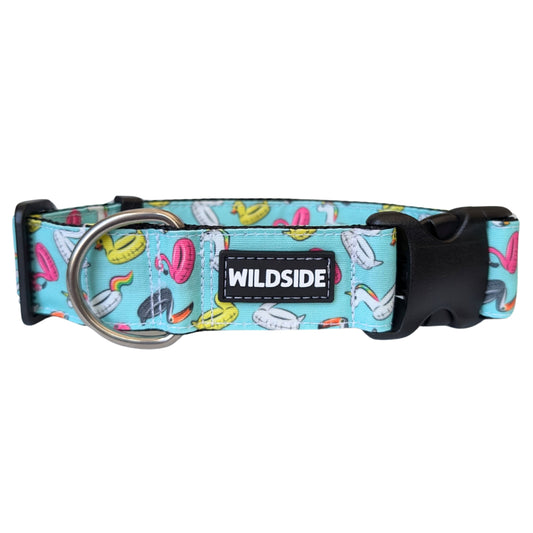 Blue Dog collar with colorful pool floaties pattern and 'Wildside' brand label on a white background, waterproof dog collar, cute boy dog collar, rust proof dog collar, strong durable dog collar