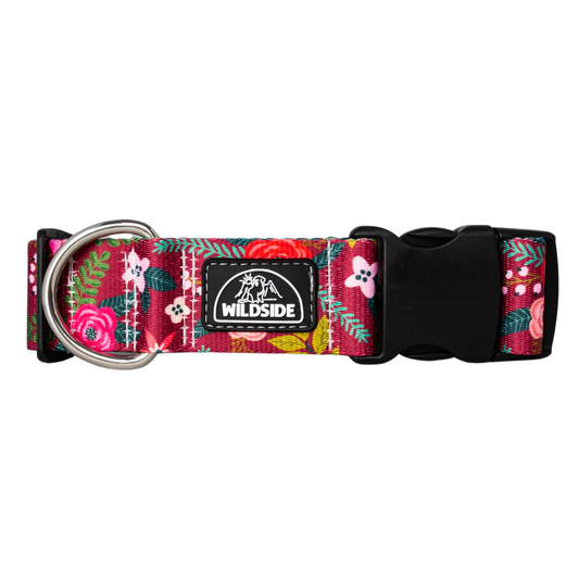 Autumn Blossom maroon floral dog collar by Wildside