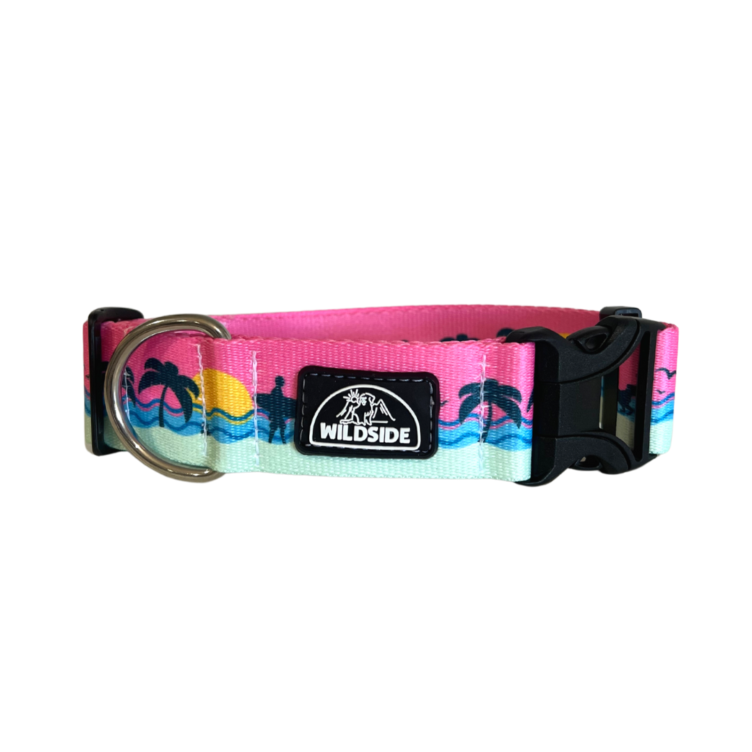OBX Water-Resistant Dog Collar ( only 1 left )