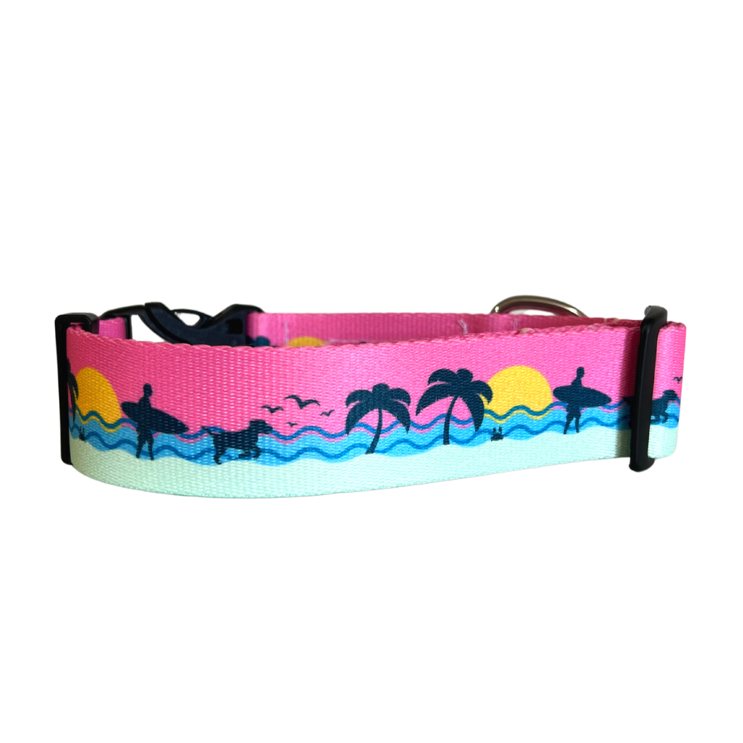 OBX Water-Resistant Dog Collar ( only 1 left )