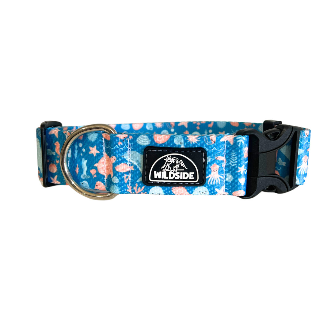 Sea Buddies Water-Resistant Dog Collar