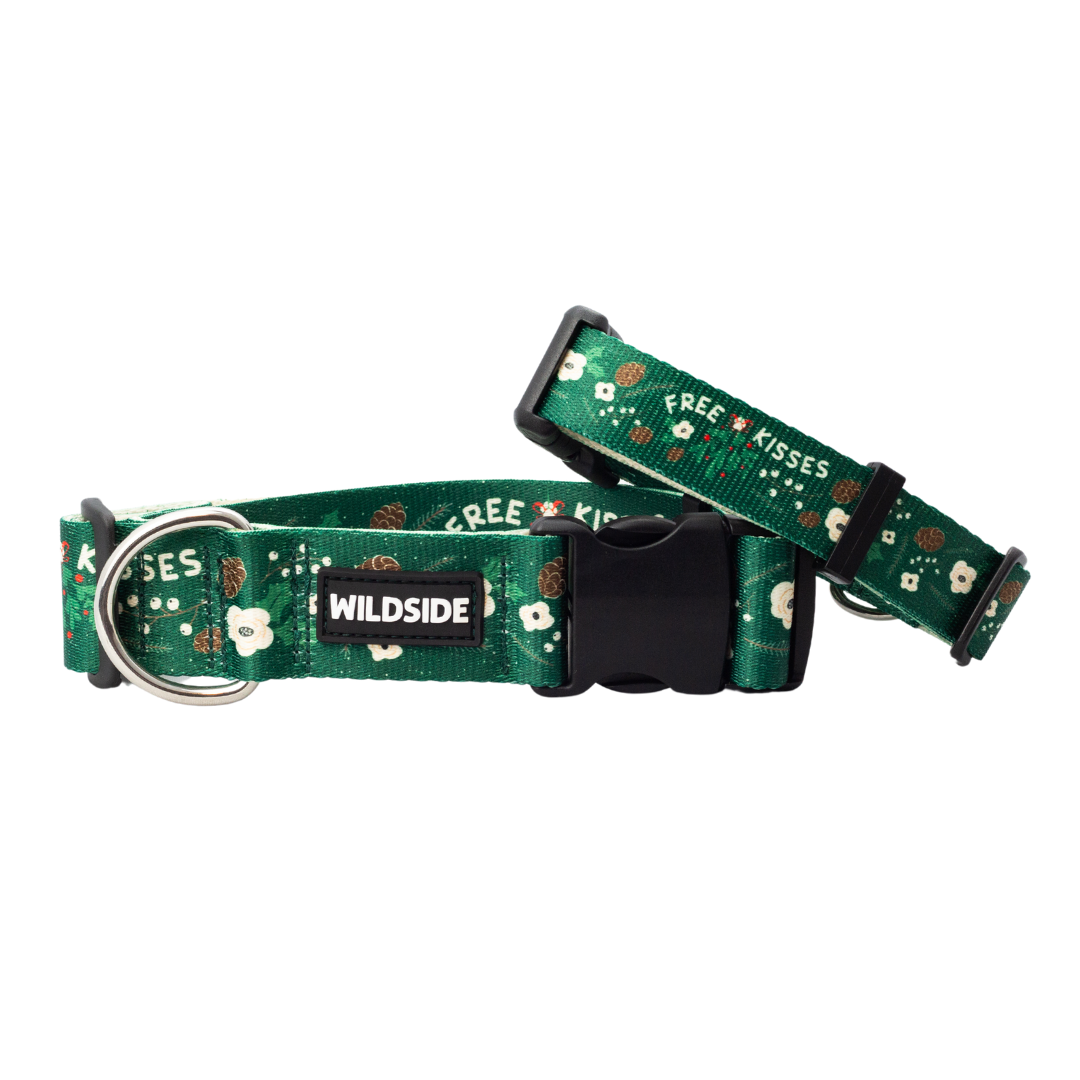 Under The Mistletoe Rust Proof Dog Collar (Evergreen)