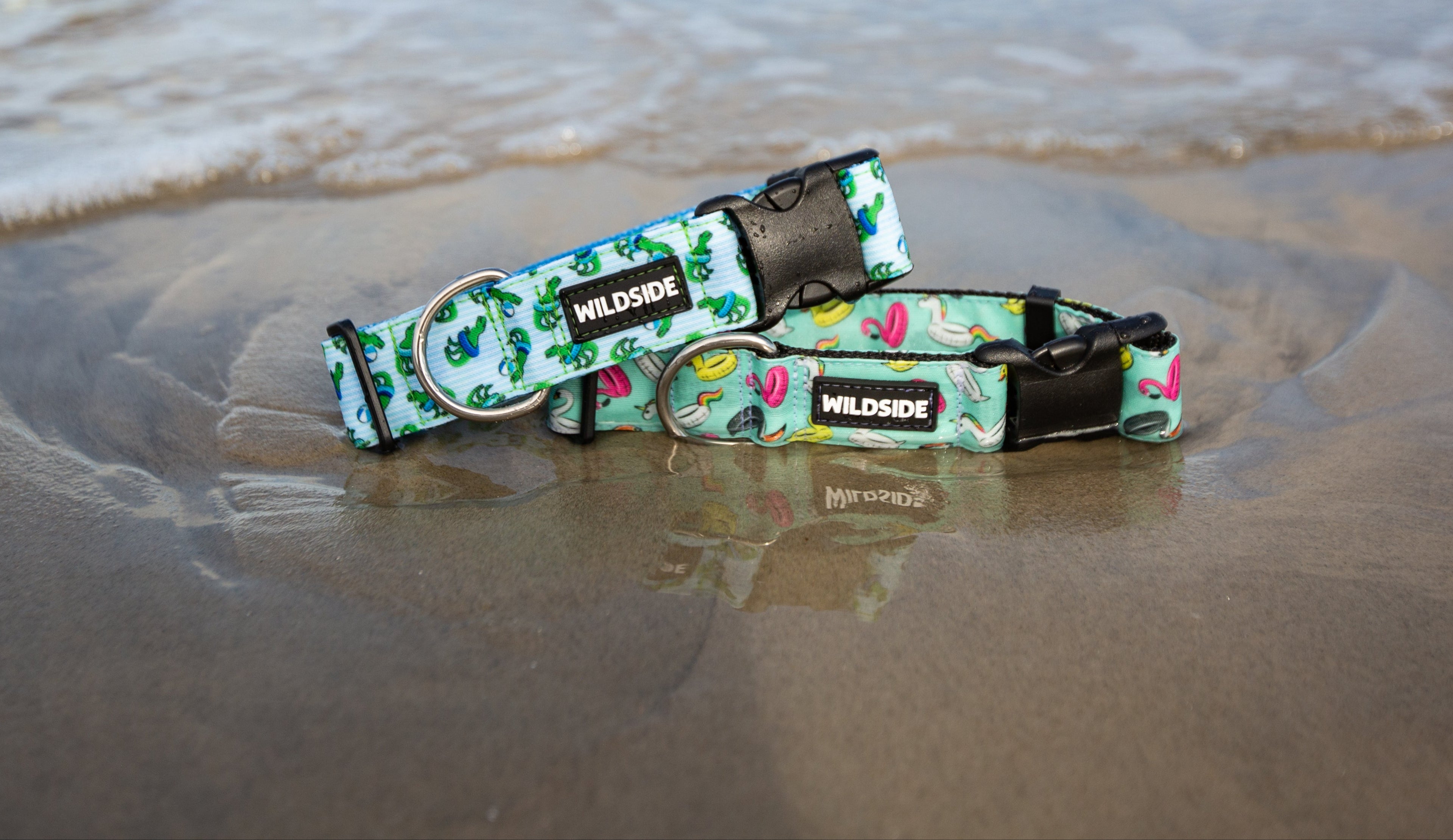 Dog collar with floral pattern on a sandy beach