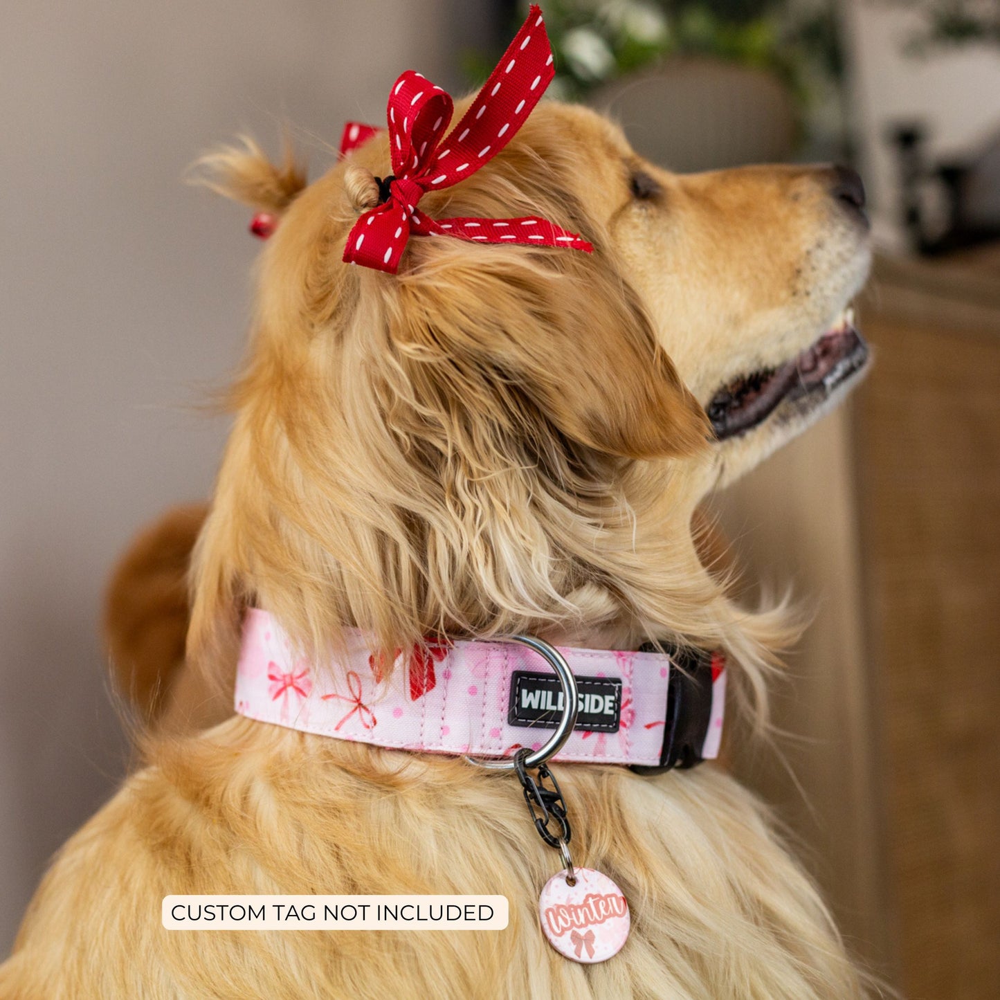 Sweetheart Bows Durable Dog Collar