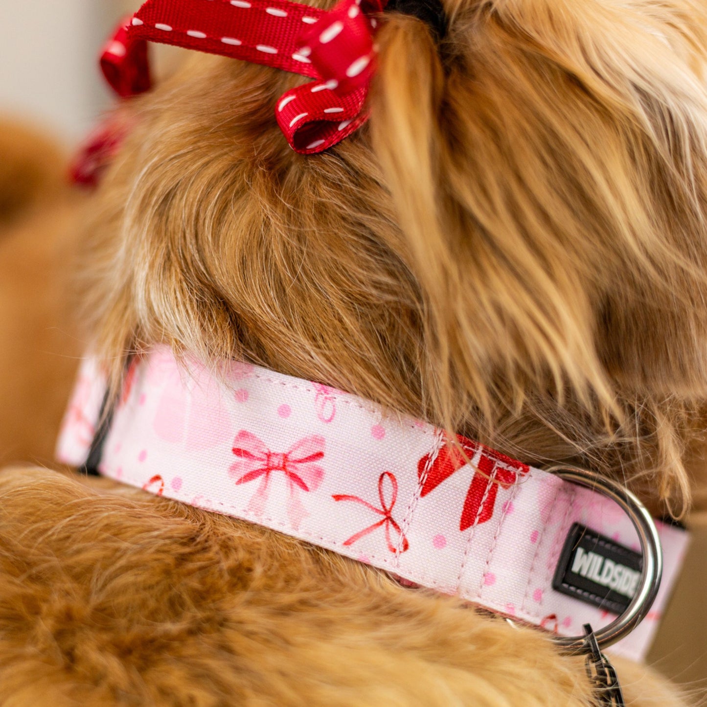 Sweetheart Bows Durable Dog Collar