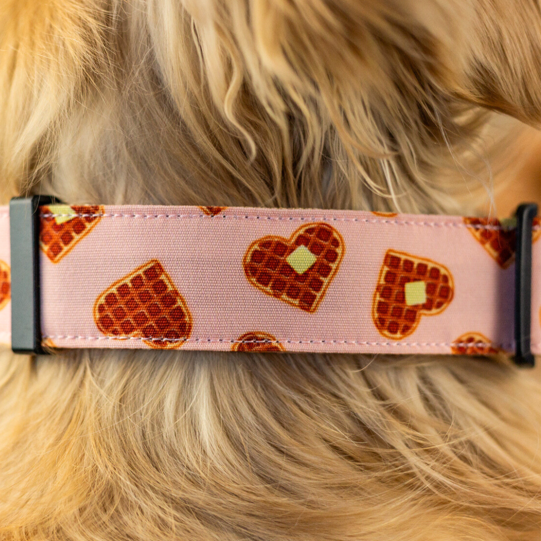 Waffle Love Durable Dog Collar