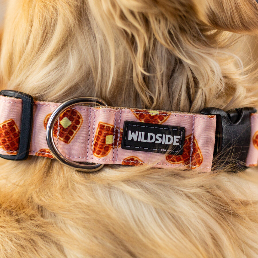 Waffle Love Durable Dog Collar