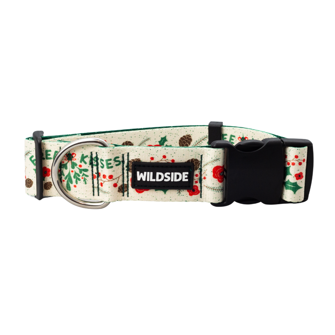 Under The Mistletoe Rust Proof Dog Collar (Cream)