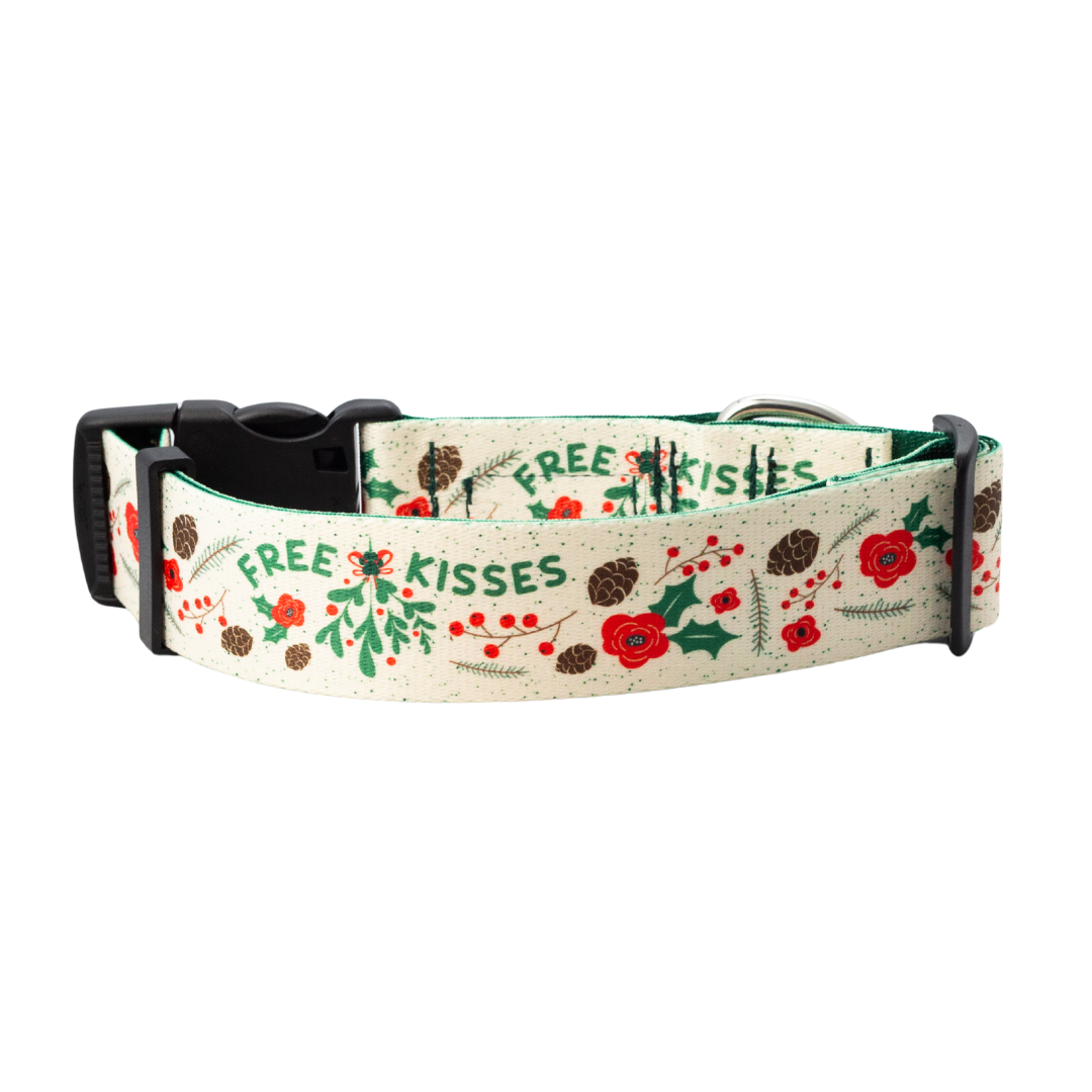 Under The Mistletoe Rust Proof Dog Collar (Cream)