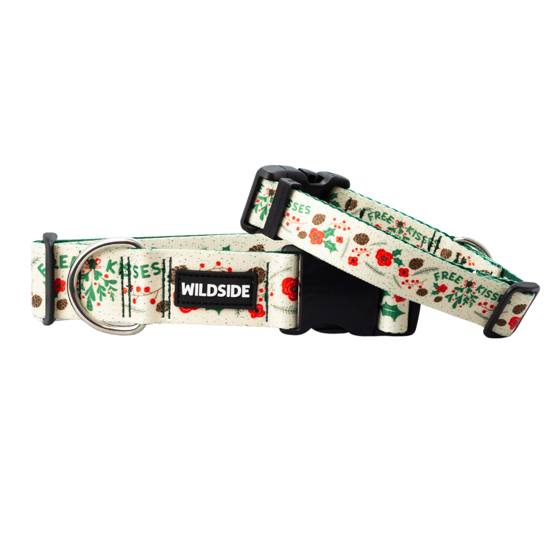 Under The Mistletoe Rust Proof Dog Collar (Cream)