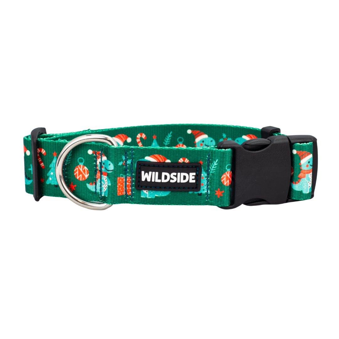 holiday dog collar, strong dog collar, green dog collar, dino dog collar, puppy dog collar