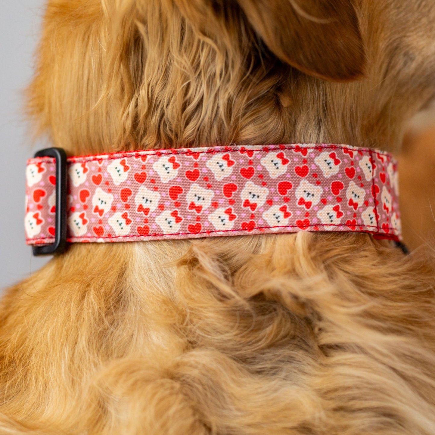 adjustable dog collar, dog collars for golden retriever, hiking dog collars, cute dog collars