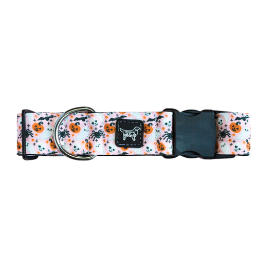 Spooky & Sweet Collar Rust Proof Dog Collar
