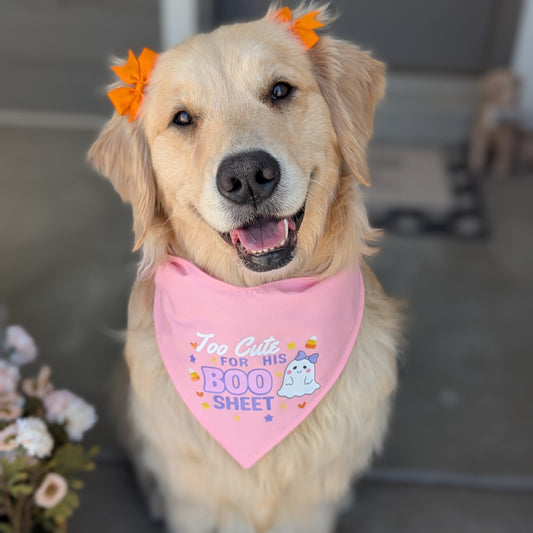 cute pink halloween dog bandana , golden retriever in a pink bandana and bow, cute halloween bandana