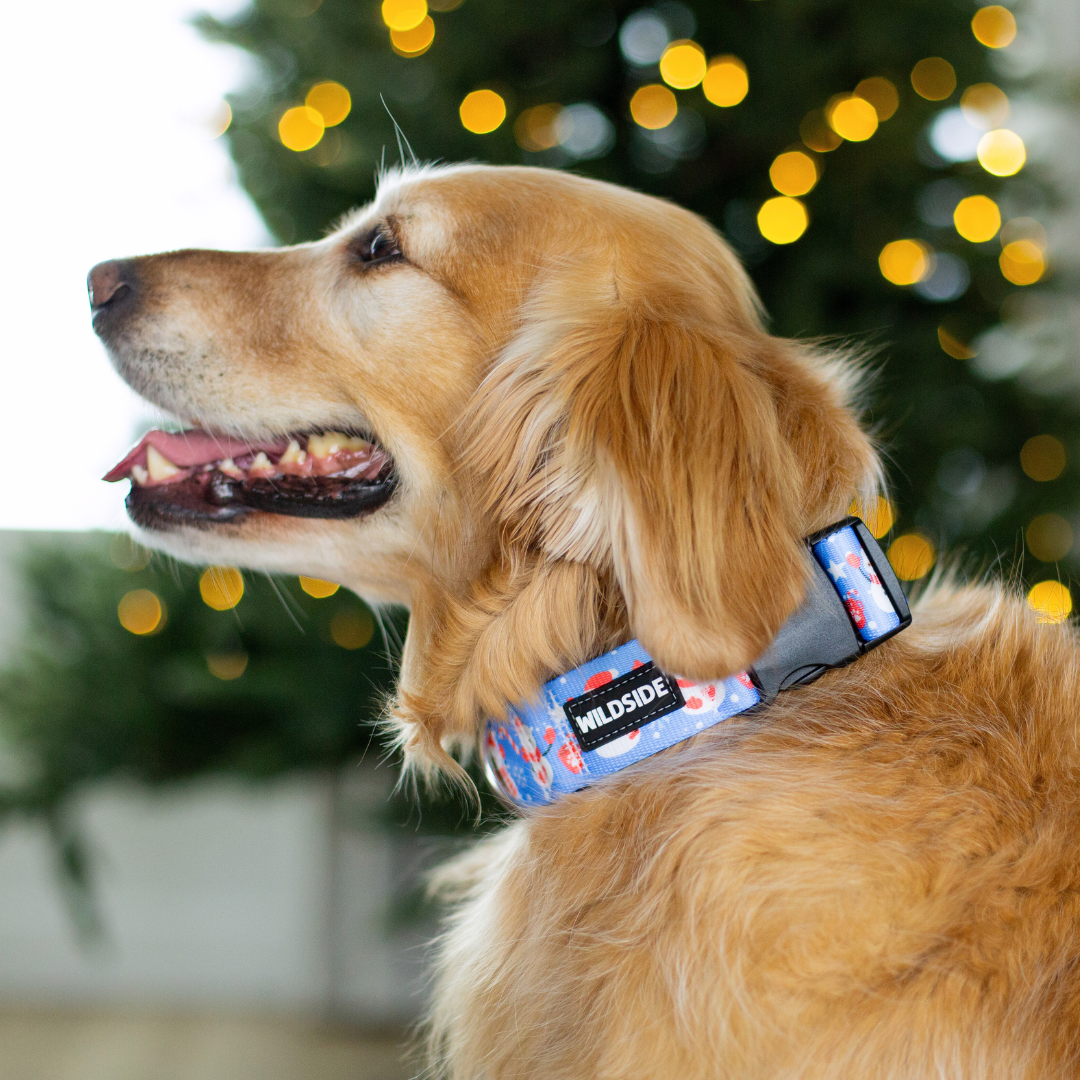 Cutesy Snowman Rust Proof Dog Collar