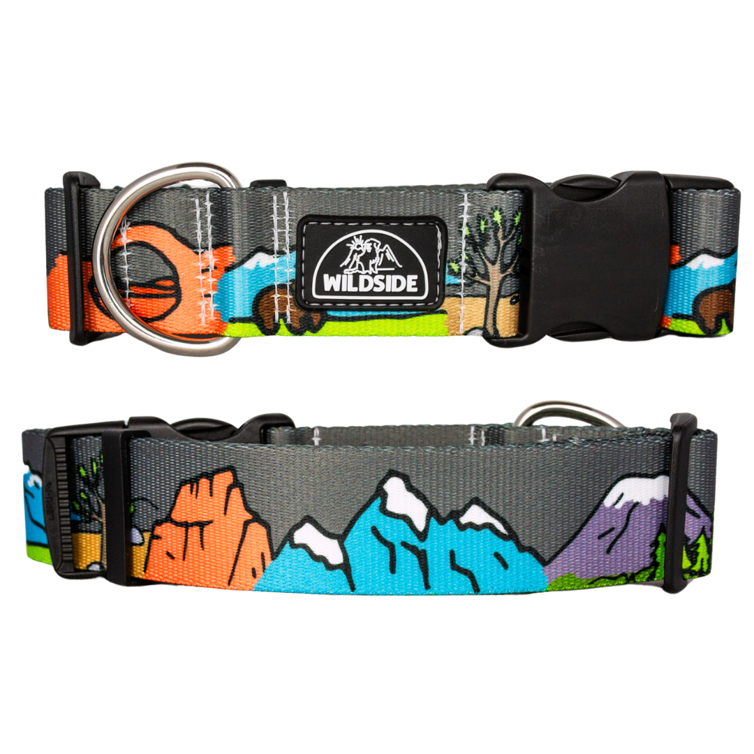 National Bark Rust Proof Dog Collars for Hiking Everyday Use Handmade in Utah USA Wildside Dog Gear