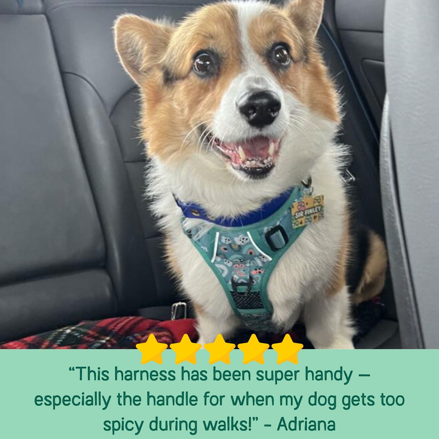 Large Dog Harness with Handle – Ohana Padded Adjustable Harness