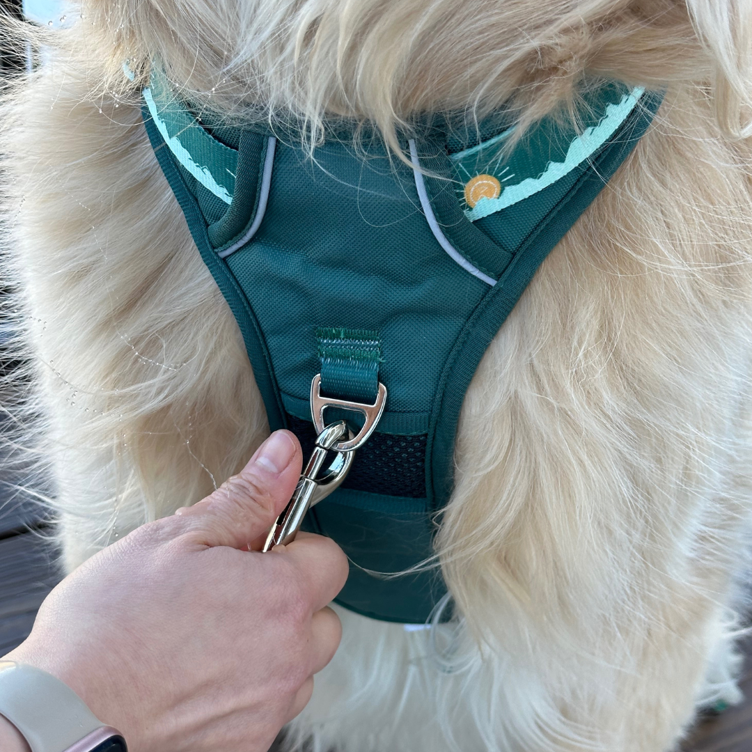 Tahoma Peak Adjustable Click N' Go Dog Harness With Handle