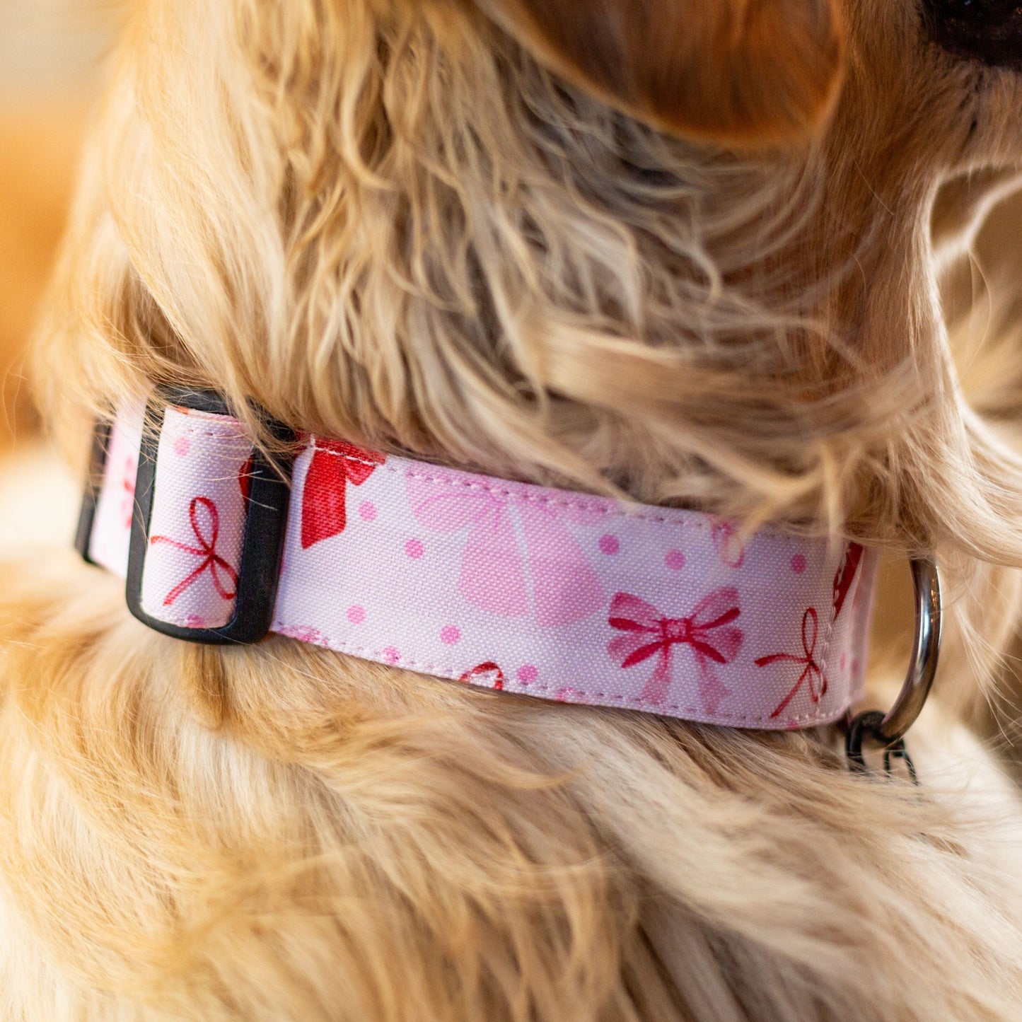 Sweetheart Bows Durable Dog Collar