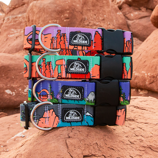 National Parks Collars Collection | Lightweight Dog Collar