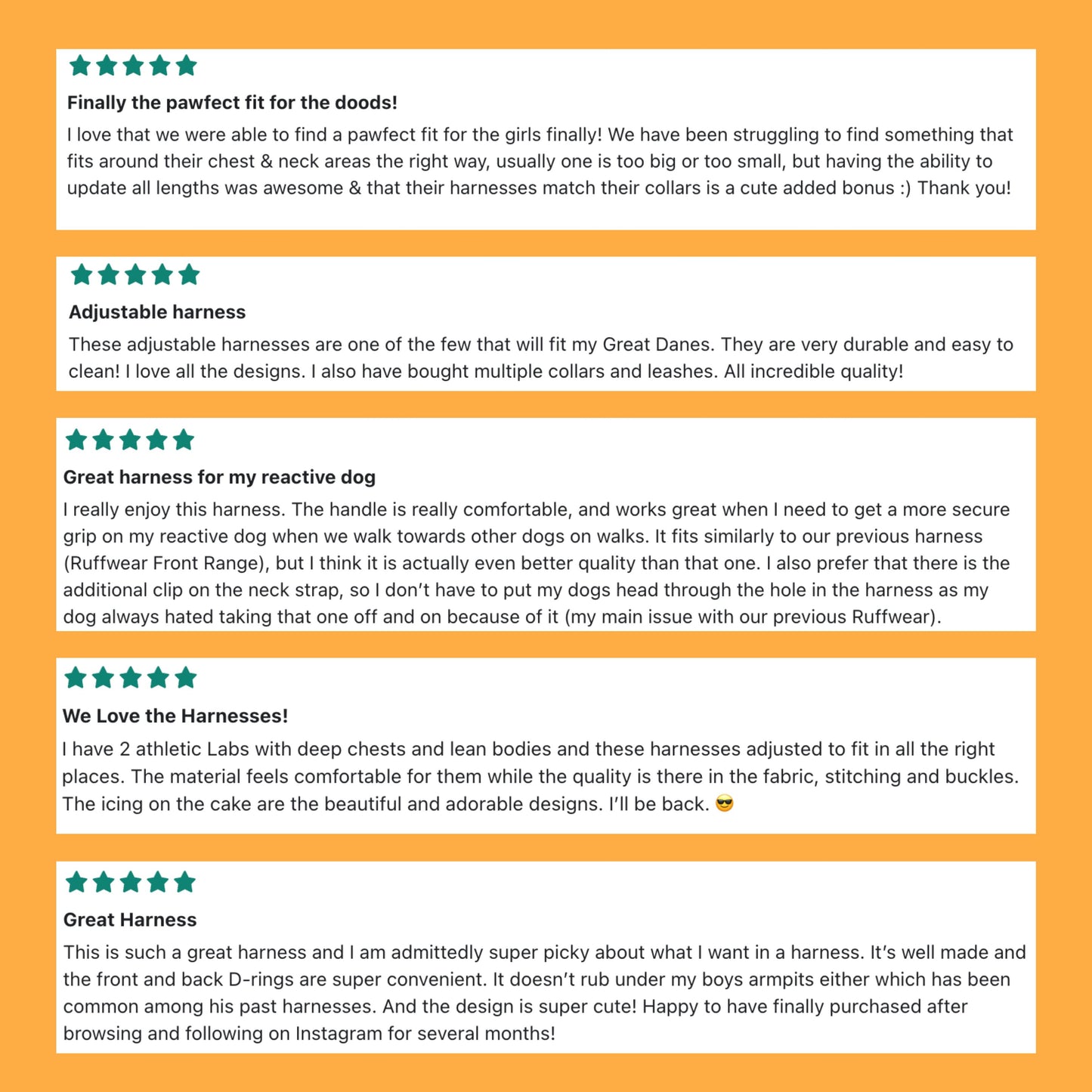 Aurora Peak Adjustable Click N' Go Dog Harness With Handle