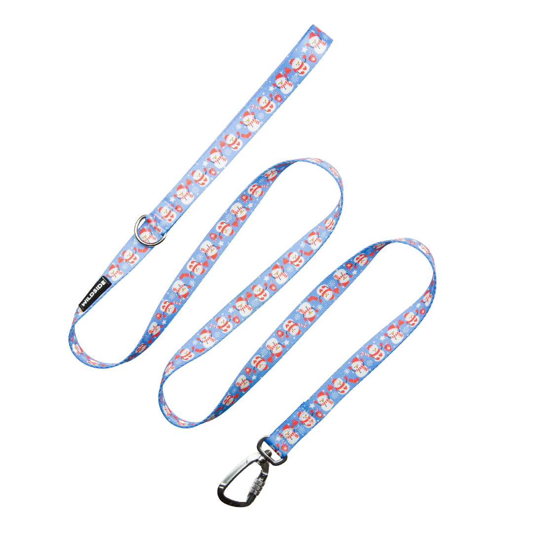 Cutesy Snowman Leash