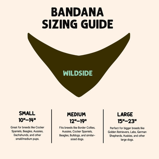 “Too Cute for This Boo Sheet” Halloween Dog Bandana