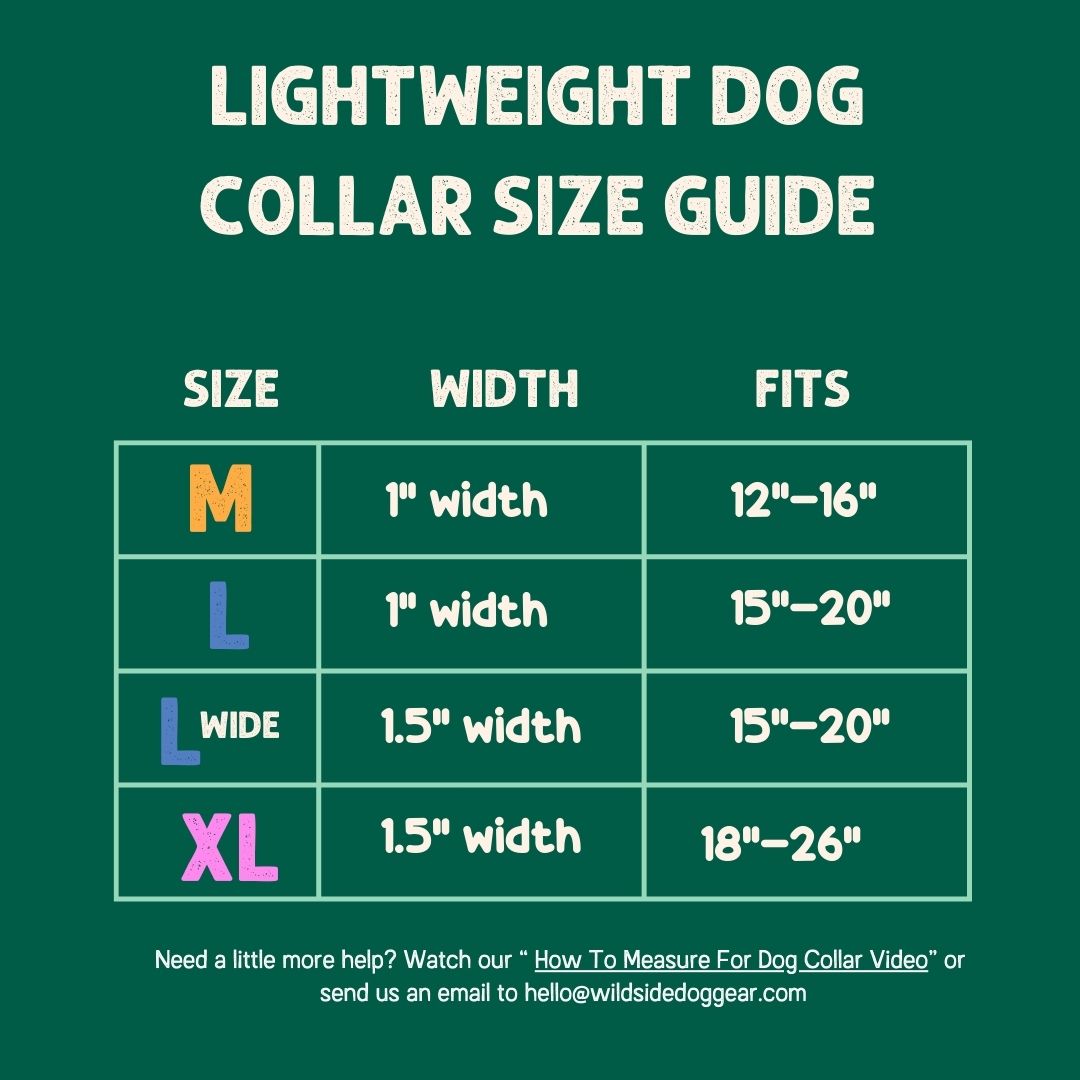 Lightweight dog collar size guide with measurements on a green background
