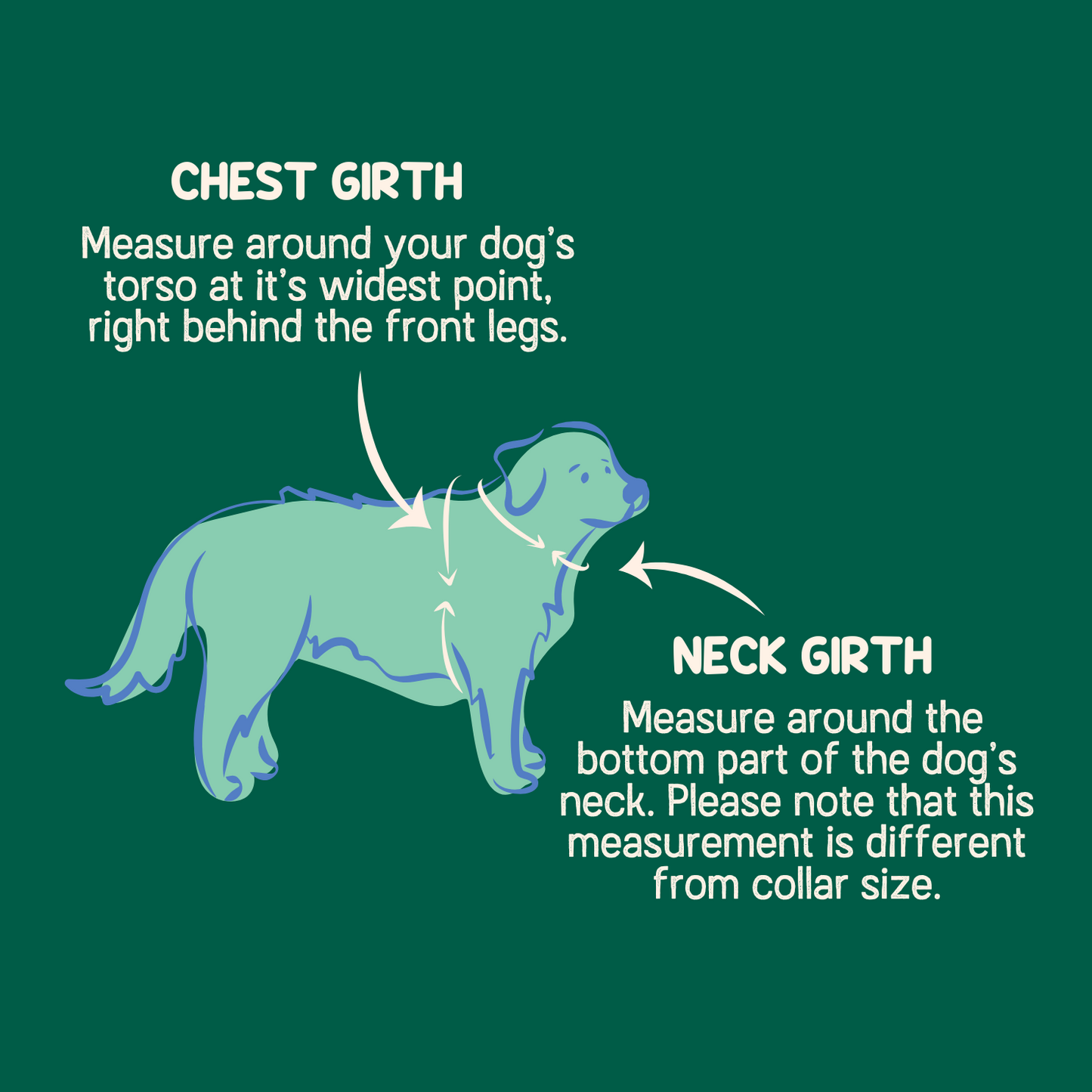 Dog Harness Collar & Leash Set – Aurora Polar Bear