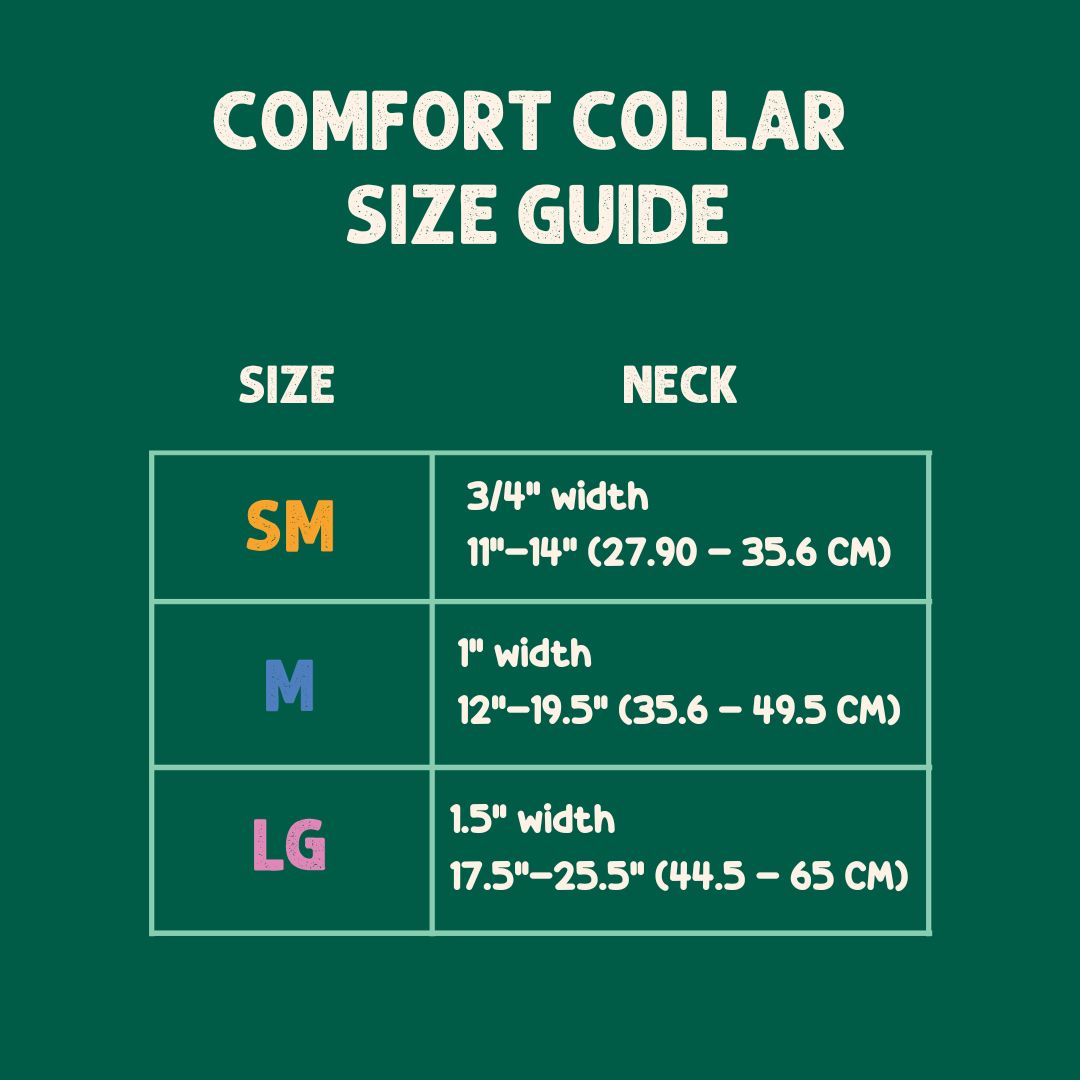 Dog Harness Collar & Leash Set – Aurora Polar Bear